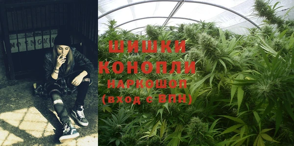 каннабис Аркадак